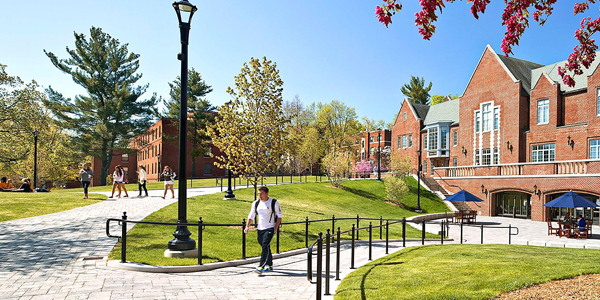 College Academic Committee